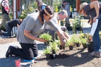 North Island Hospital ceremony recognizes value of traditional and medicinal plants