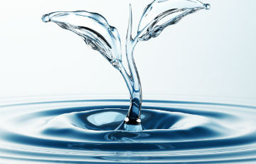 水荡漾
